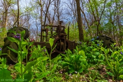 IMG1115_woods_tractor_lores