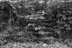 IMG1978_abandoned_stairs_BW_lores