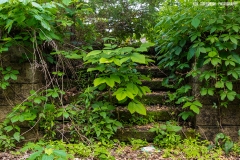IMG1978_abandoned_stairs_lores
