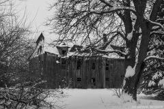 IMG4458_abandoned_barn_BW_lores