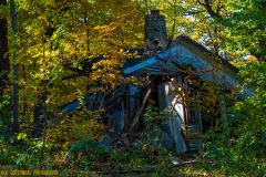 IMG6466_house_in_the_woods_lores