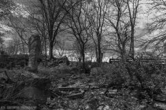 IMG7646_abandoned_farm_BW_lores