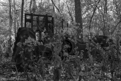 IMG8247_woods_tractor_fall_BW_lores