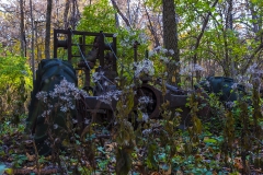 IMG8247_woods_tractor_fall_lores