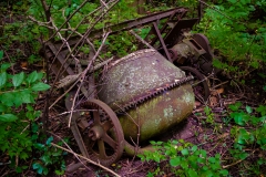 IMGP0209_concrete_mixer_lores