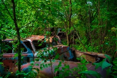 IMGP0383_island_cars_lores