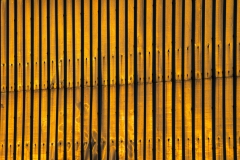 IMG2547_shed_wall_lores
