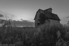 IMG1557_barn_grass_sunset_BW_lores