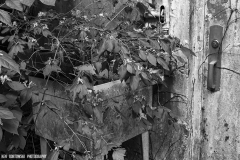 IMG1929_abandoned_house_BW_lores