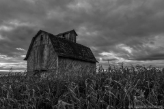 IMG3771_harvest_barn_BW_lores