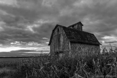 IMG3773_harvest_barn_BW_lores