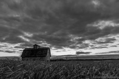 IMG3789_harvest_barn_BW_lores