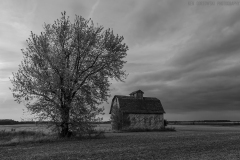 IMG3943_fall_barn_BW_lores