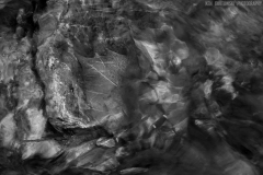 IMG3996_creek_leaves_BW_lores
