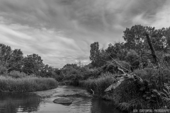 IMG4225_blackberry_creek_BW_lores