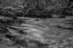 IMG4369_creek_rock_BW_lores