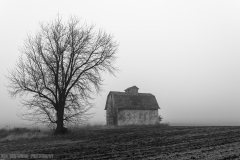 IMG4430_barn_fog_bw_2_lores