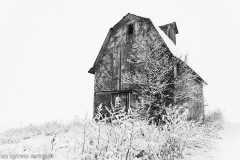 IMG4477_barn_snow_bw_lores