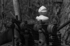 IMG7579_Dicky_Block_BW_lores