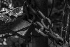 IMG7591_Rusty_Lock-BW_lores