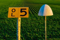 IMG0837_field_markers_lores