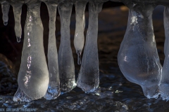 IMG4830_ice_udders_lores