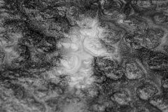 IMG6938_ice_leaf_BW_lores