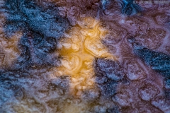 IMG6938_ice_leaf_lores