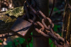 IMG7591_Rusty_Lock_lores