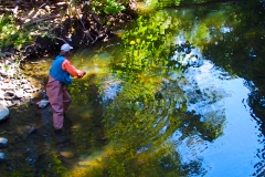 creek_fishing_final_lores