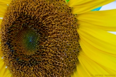 IMG3034_lores