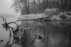 125-2579_IMG_Kank_Duckblind_BW_lores