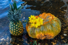River_Find_lores