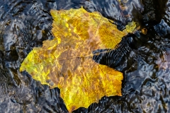 fall_creek_detail_lores