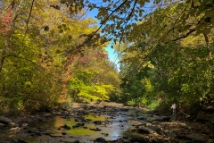 fall_creek_exploring_lores