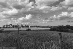 IMG0045_Distant_Barn_BW_lores