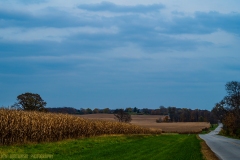 IMG1682_Rolling_Road_lores