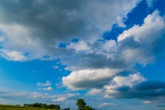 IMG2148_IMG2149_summer_day_lores