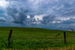 IMG2381_Finnie_Road_lores