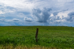 IMG2384_storm_posts_lores