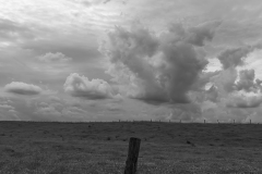 IMG2385_storm_post_BW_lores