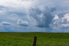 IMG2385_storm_post_lores