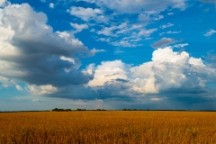 IMG3422_IMG3423_distant_rain_lores