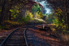 IMG4001_tracks_landscape_lores