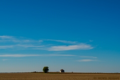 IMG6139_Tree_Crib_lores