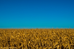 IMG6146_Corn_Crib_lores