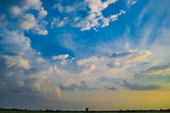 IMG_9831_lone_tree_SS_lores