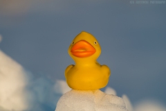 IMG2518_snow_dicky_lores