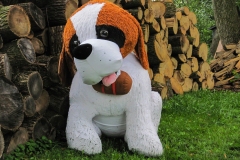IMG_3665_saint_bernard_lores