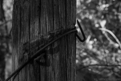 _IMG6365_BW